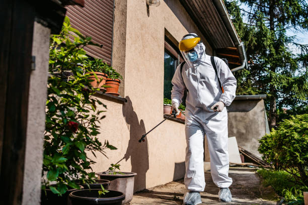 Best Insect Control  in Lake Brownwood, TX