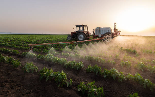 Best Ant Control Services  in Lake Brownwood, TX