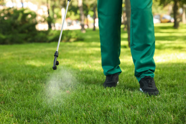 Best Flea Control Services  in Lake Brownwood, TX