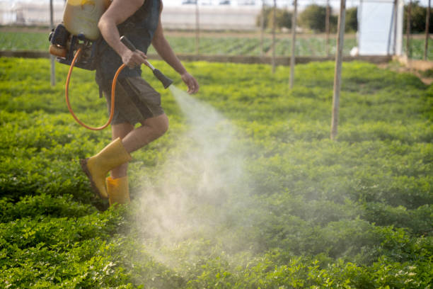 Best Pest Prevention Services  in Lake Brownwood, TX