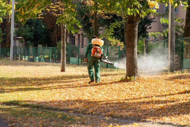 Best Exterminator Services  in Lake Brownwood, TX